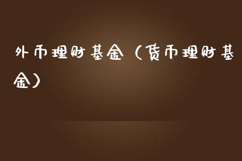 外币理财基金（货币理财基金）_https://www.ltsssb.com_基金频道_第1张
