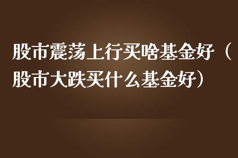 股市震荡上行买啥基金好（股市大跌买什么基金好）_https://www.ltsssb.com_基金频道_第1张