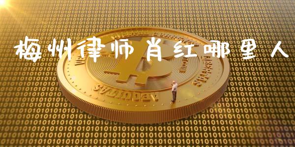 梅州律师肖红哪里人_https://www.ltsssb.com_国际财经_第1张