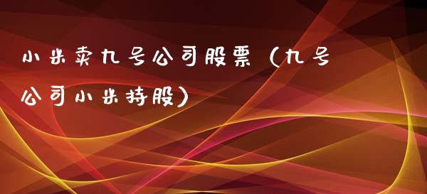 小米卖九号公司股票（九号公司小米持股）_https://www.ltsssb.com_股市分析_第1张