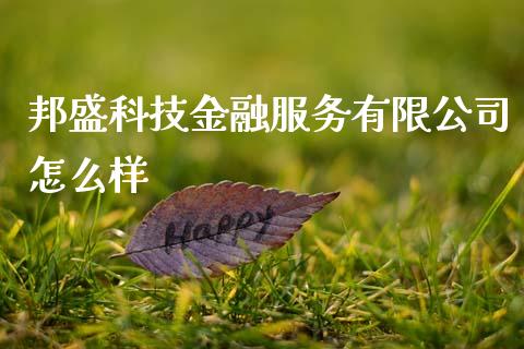 邦盛科技金融服务有限公司怎么样_https://www.ltsssb.com_股市分析_第1张