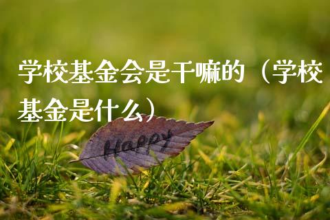 学校基金会是干嘛的（学校基金是什么）_https://www.ltsssb.com_基金频道_第1张