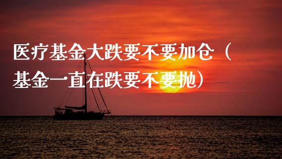 医疗基金大跌要不要加仓（基金一直在跌要不要抛）_https://www.ltsssb.com_国际财经_第1张
