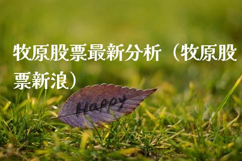 牧原股票最新分析（牧原股票新浪）_https://www.ltsssb.com_股票理论_第1张