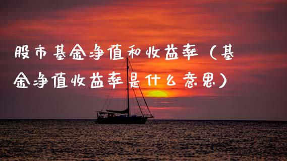 股市基金净值和收益率（基金净值收益率是什么意思）_https://www.ltsssb.com_基金频道_第1张