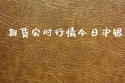 期货实时行情今日沪银_https://www.ltsssb.com_期货行情_第1张