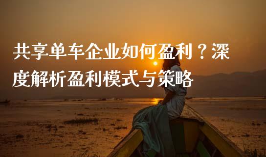 共享单车企业如何盈利？深度解析盈利模式与策略_https://www.ltsssb.com_期货在线_第1张
