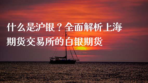 什么是沪银？全面解析上海期货交易所的白银期货_https://www.ltsssb.com_期货在线_第1张