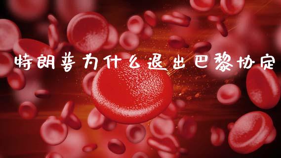 特朗普为什么退出巴黎协定_https://www.ltsssb.com_国际财经_第1张
