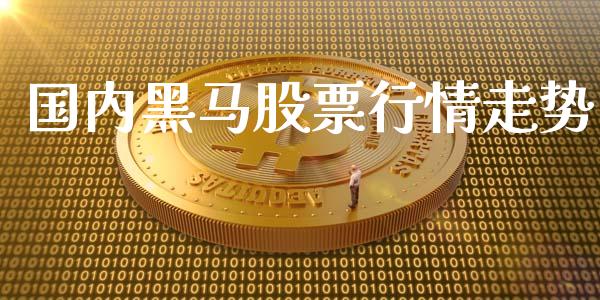 国内黑马股票行情走势_https://www.ltsssb.com_股市分析_第1张