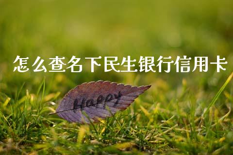 怎么查名下民生银行信用卡_https://www.ltsssb.com_期货行情_第1张