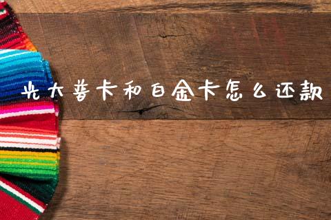 光大普卡和白金卡怎么还款_https://www.ltsssb.com_新股数据_第1张