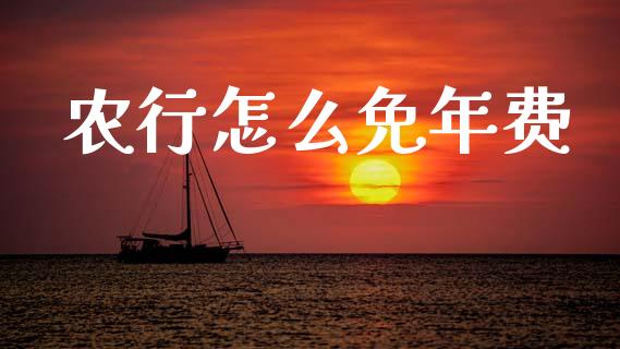 农行怎么免年费_https://www.ltsssb.com_国际财经_第1张