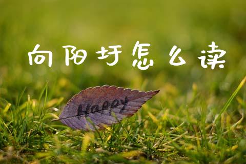 向阳圩怎么读_https://www.ltsssb.com_基金频道_第1张