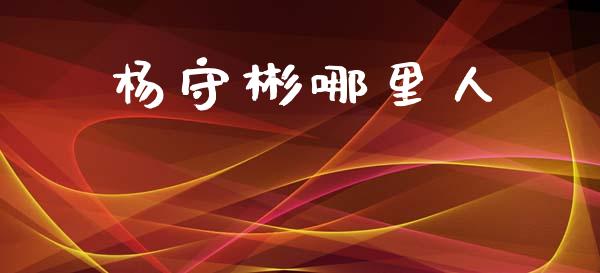 杨守彬哪里人_https://www.ltsssb.com_国际财经_第1张