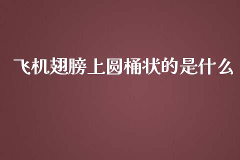 飞机翅膀上圆桶状的是什么_https://www.ltsssb.com_国际财经_第1张