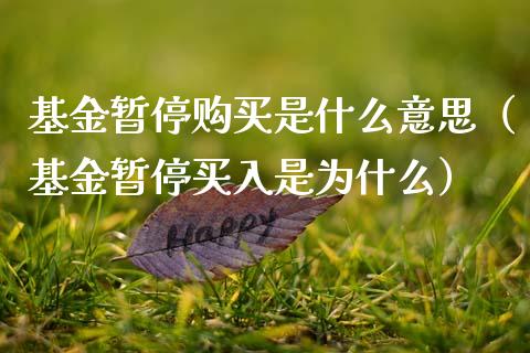 基金暂停购买是什么意思（基金暂停买入是为什么）_https://www.ltsssb.com_基金频道_第1张