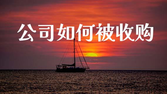 公司如何被收购_https://www.ltsssb.com_新股数据_第1张