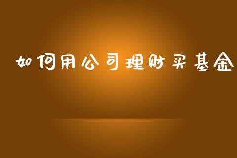 如何用公司理财买基金_https://www.ltsssb.com_基金频道_第1张
