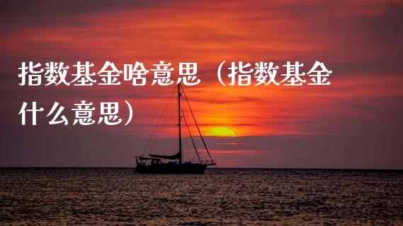 指数基金啥意思（指数基金什么意思）_https://www.ltsssb.com_国际财经_第1张