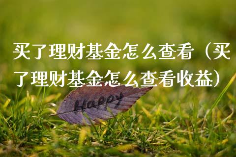 买了理财基金怎么查看（买了理财基金怎么查看收益）_https://www.ltsssb.com_基金频道_第1张