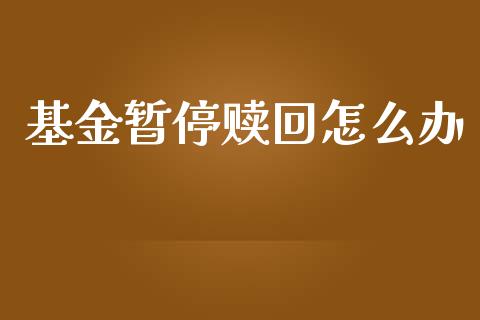 基金暂停赎回怎么办_https://www.ltsssb.com_新股数据_第1张