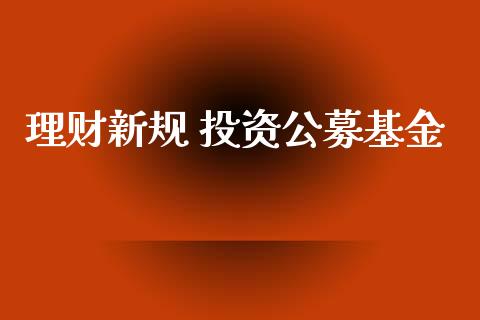 理财新规 投资公募基金_https://www.ltsssb.com_基金频道_第1张