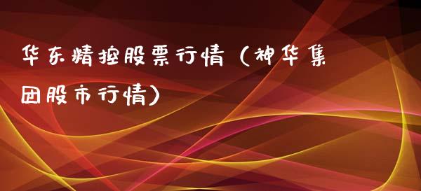 华东精控股票行情（神华集团股市行情）_https://www.ltsssb.com_股市分析_第1张