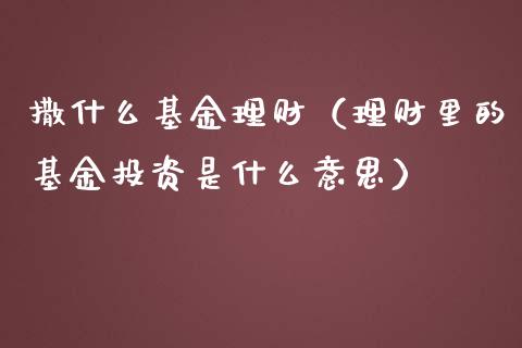 撒什么基金理财（理财里的基金投资是什么意思）_https://www.ltsssb.com_基金频道_第1张