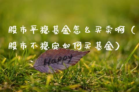 股市平稳基金怎么买卖啊（股市不稳定如何买基金）_https://www.ltsssb.com_基金频道_第1张