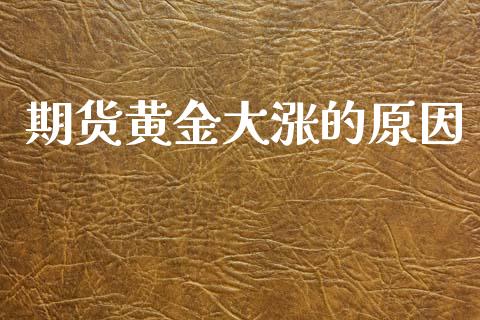 期货黄金大涨的原因_https://www.ltsssb.com_期货密码_第1张
