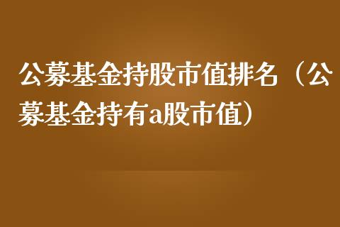 公募基金持股市值排名（公募基金持有a股市值）_https://www.ltsssb.com_国际财经_第1张