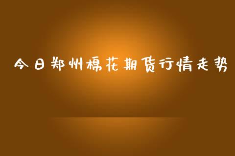 今日郑州棉花期货行情走势_https://www.ltsssb.com_期货行情_第1张