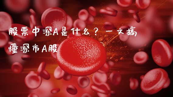 股票中深A是什么？一文搞懂深市A股_https://www.ltsssb.com_股市分析_第1张