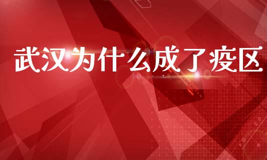 武汉为什么成了疫区_https://www.ltsssb.com_期货密码_第1张
