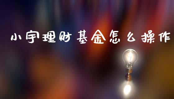 小宇理财基金怎么操作_https://www.ltsssb.com_基金频道_第1张