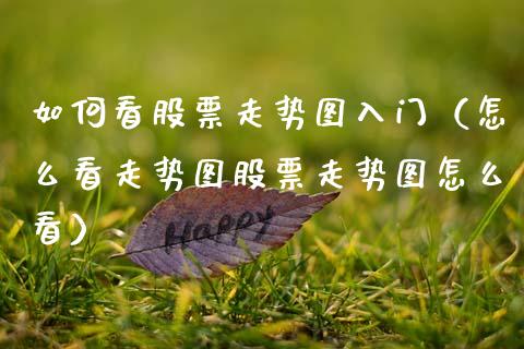 如何看股票走势图入门（怎么看走势图股票走势图怎么看）_https://www.ltsssb.com_股市分析_第1张