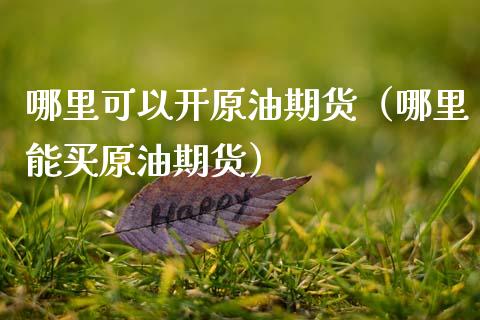 哪里可以开原油期货（哪里能买原油期货）_https://www.ltsssb.com_期货密码_第1张