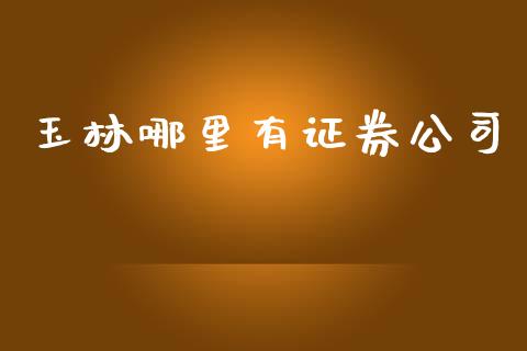 玉林哪里有证券公司_https://www.ltsssb.com_期货密码_第1张