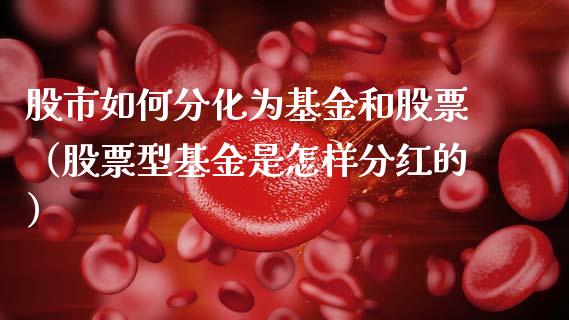 股市如何分化为基金和股票（股票型基金是怎样分红的）_https://www.ltsssb.com_基金频道_第1张