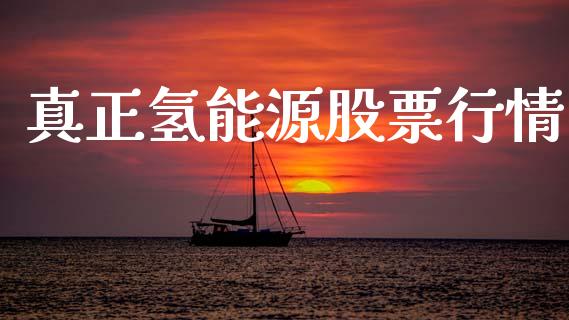 真正氢能源股票行情_https://www.ltsssb.com_股市分析_第1张