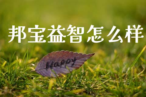 邦宝益智怎么样_https://www.ltsssb.com_期货在线_第1张