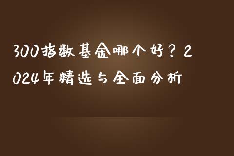 300指数基金哪个好？2024年精选与全面分析_https://www.ltsssb.com_期货在线_第1张