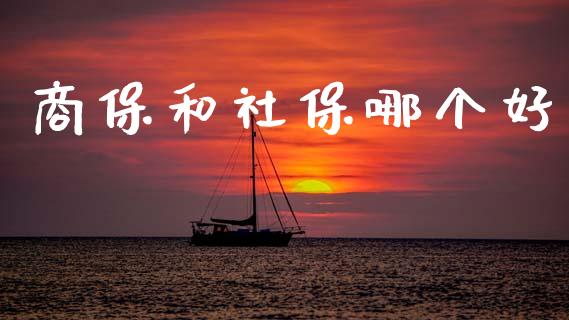 商保和社保哪个好_https://www.ltsssb.com_期货密码_第1张