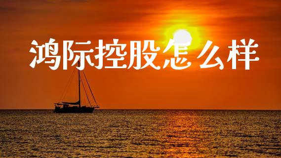 鸿际控股怎么样_https://www.ltsssb.com_基金频道_第1张