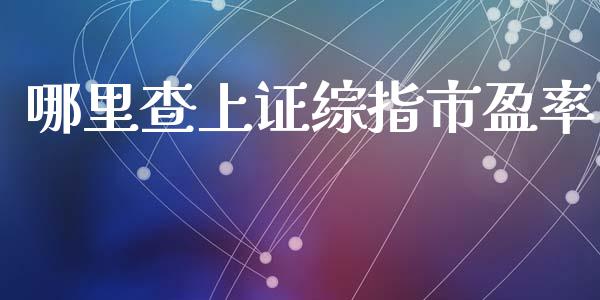 哪里查上证综指市盈率_https://www.ltsssb.com_期货密码_第1张