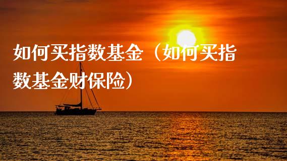 如何买指数基金（如何买指数基金财保险）_https://www.ltsssb.com_基金频道_第1张