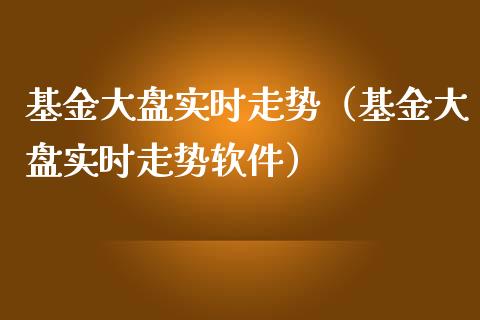 基金大盘实时走势（基金大盘实时走势软件）_https://www.ltsssb.com_国际财经_第1张