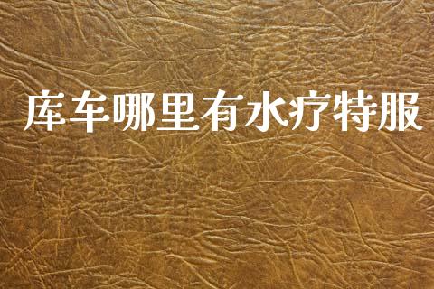 库车哪里有水疗特服_https://www.ltsssb.com_国际财经_第1张