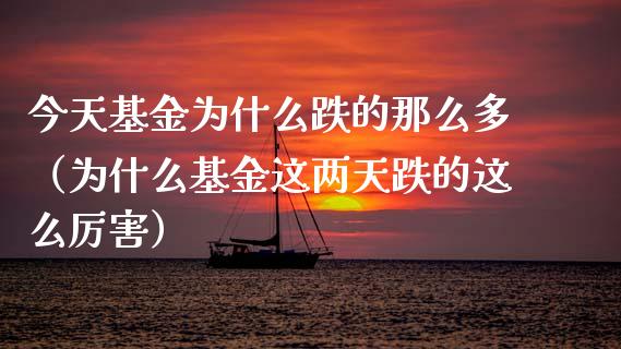 今天基金为什么跌的那么多（为什么基金这两天跌的这么厉害）_https://www.ltsssb.com_基金频道_第1张